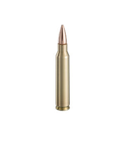.223 Rem ETPT 55gr
