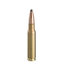 .308 Win EXPT 180gr